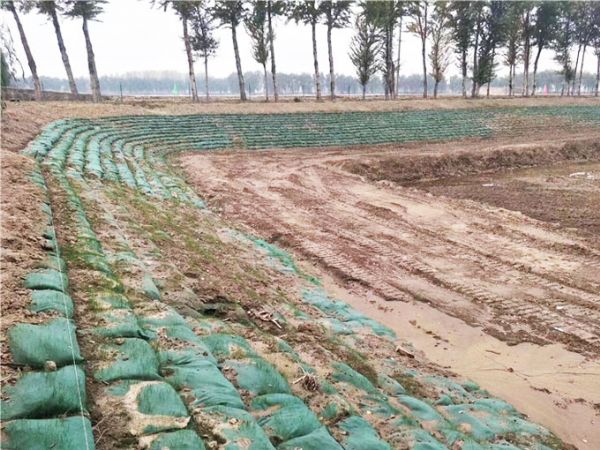 生態(tài)袋施工中