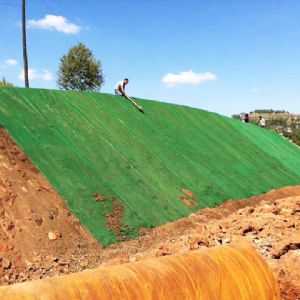 三維植被網(wǎng)施工現(xiàn)場