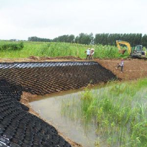 土工格室施工現(xiàn)場